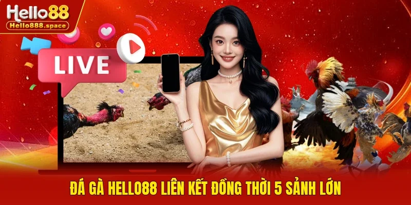 Đá gà HELLO88 liên kết đồng thời 5 sảnh lớn